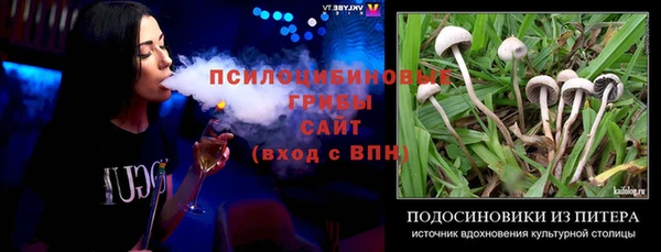 ПСИЛОЦИБИНОВЫЕ ГРИБЫ Заводоуковск