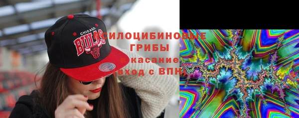 ПСИЛОЦИБИНОВЫЕ ГРИБЫ Заводоуковск