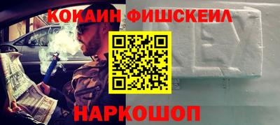 шишки Камышлов