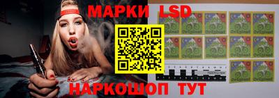 шишки Камышлов