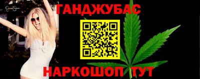 шишки Камышлов