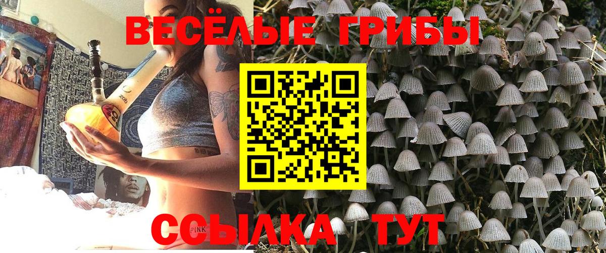 Галлюциногенные грибы прущие грибы  Галлюциногенные грибы Cubensis  Серов  купить закладку  Вход с VPN 