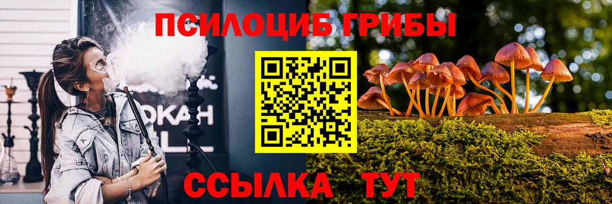 Галлюциногенные грибы MAGIC MUSHROOMS Серов